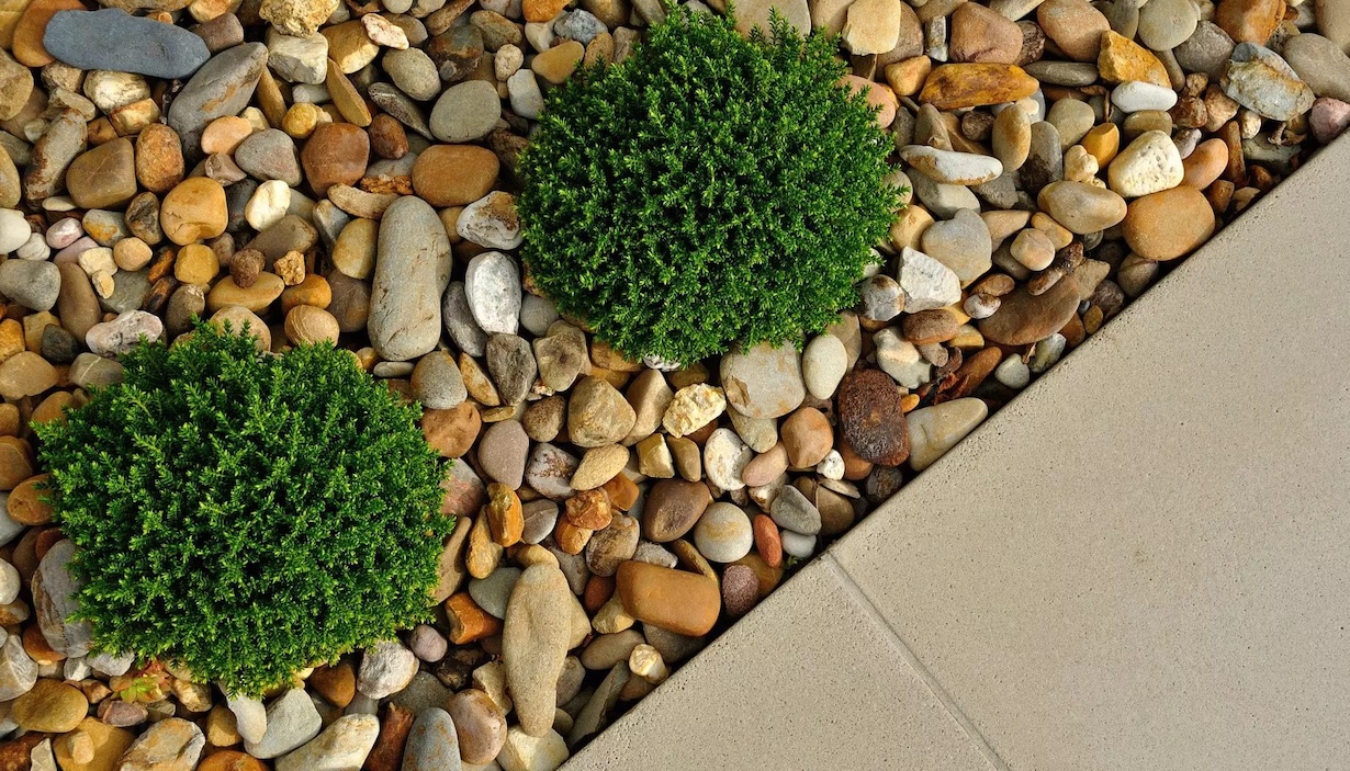  Norges grønne fagskole – Vea