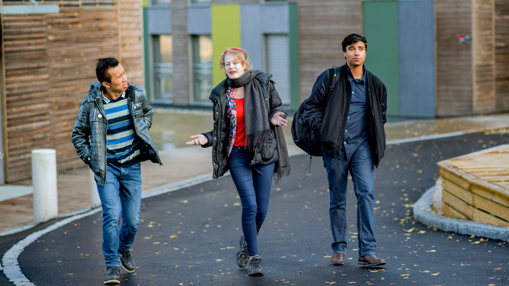   Høgskolen i Østfold