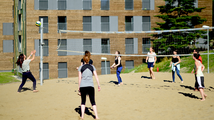   Høgskolen i Østfold