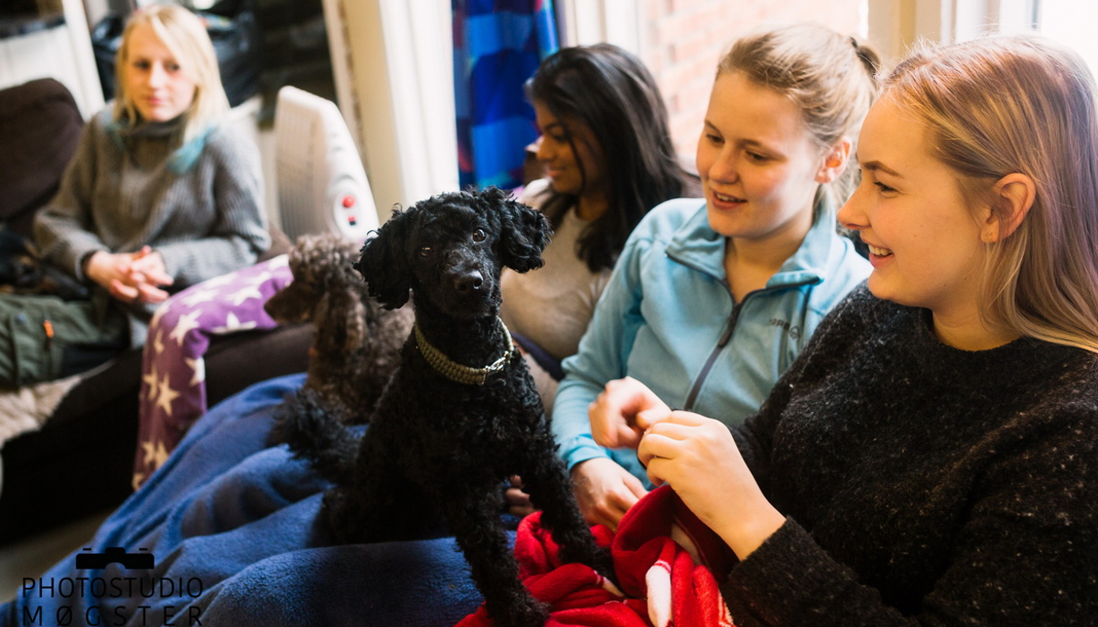 Hardanger Folkehøgskule