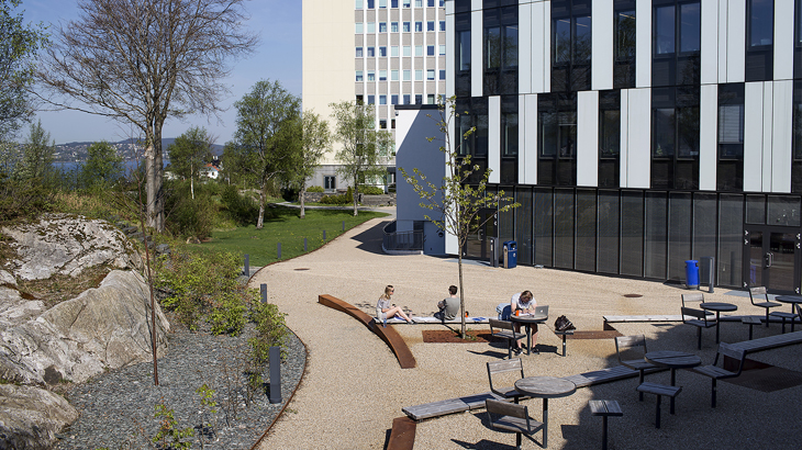 Norges Handelshøyskole (NHH)