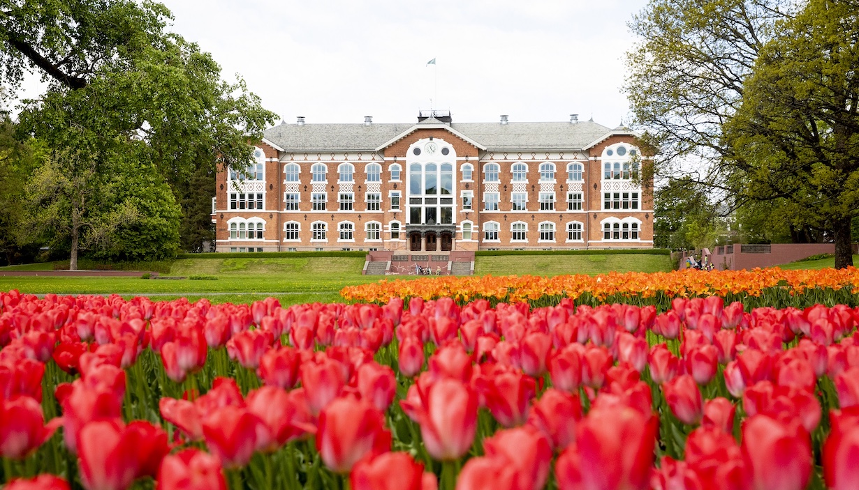   Norges miljø og biovitenskapelige universitet - NMBU