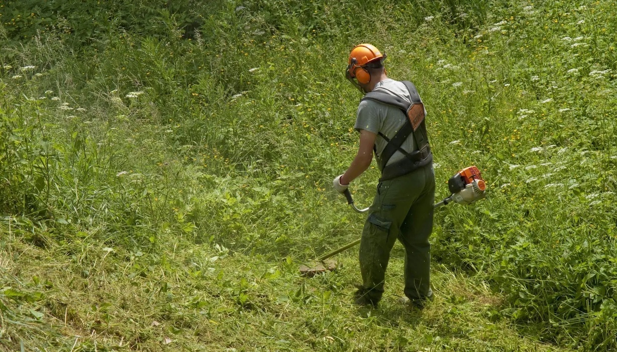 Norges grønne fagskole – Vea