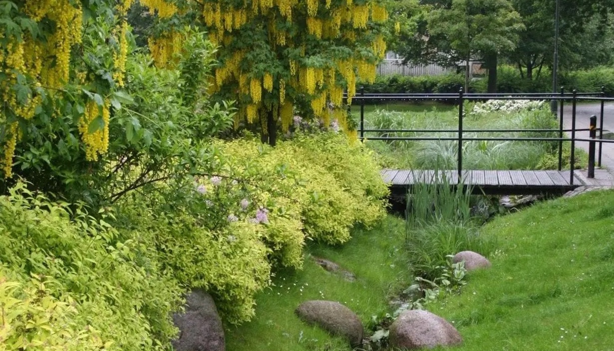  Norges grønne fagskole – Vea