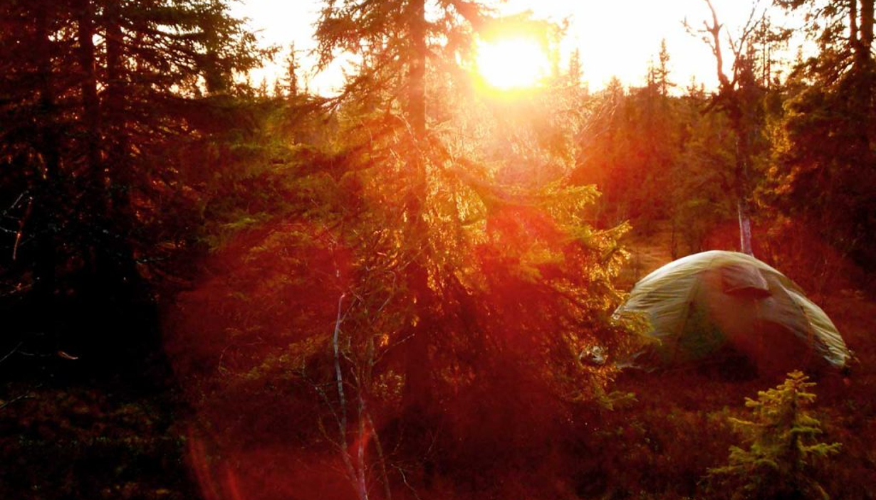 Elverum Folkehøgskule