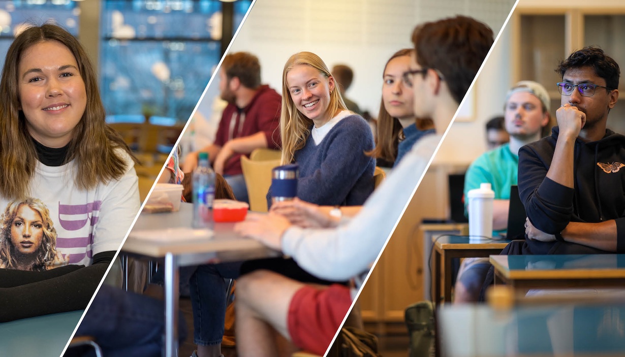  MF vitenskapelig høyskole