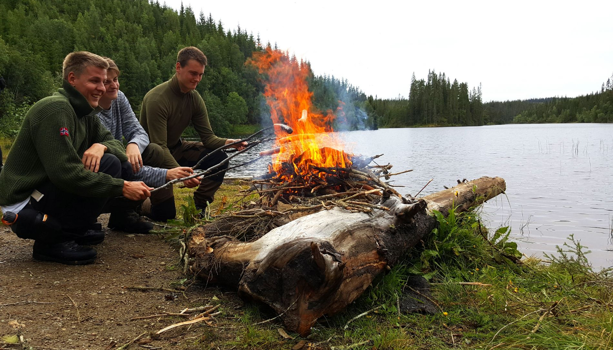 Trondheimsfjord Folkehøgskole