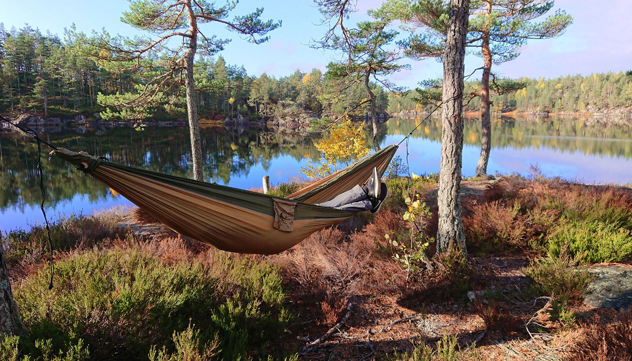 Folkehøgskolen Sørlandet