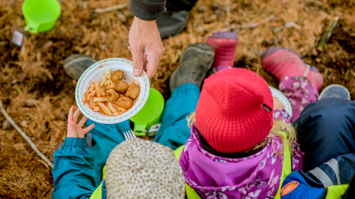   Høgskolen i Østfold